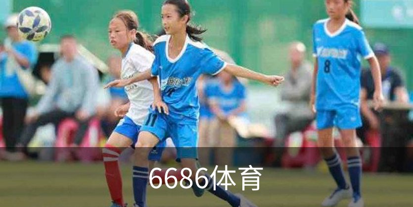 6686体育概况
